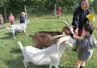 LA NATURE A PETIT TROT SEJOUR DE CLASSES DE DECOUVERTES