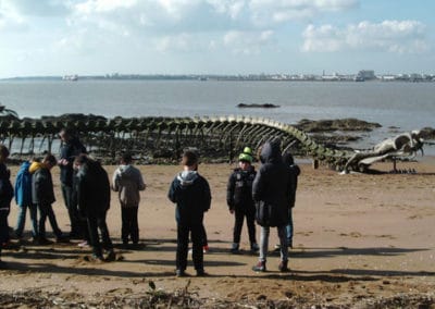 LES ARTS SUR LE SABLE SEJOUR DE CLASSES DE DECOUVERTES