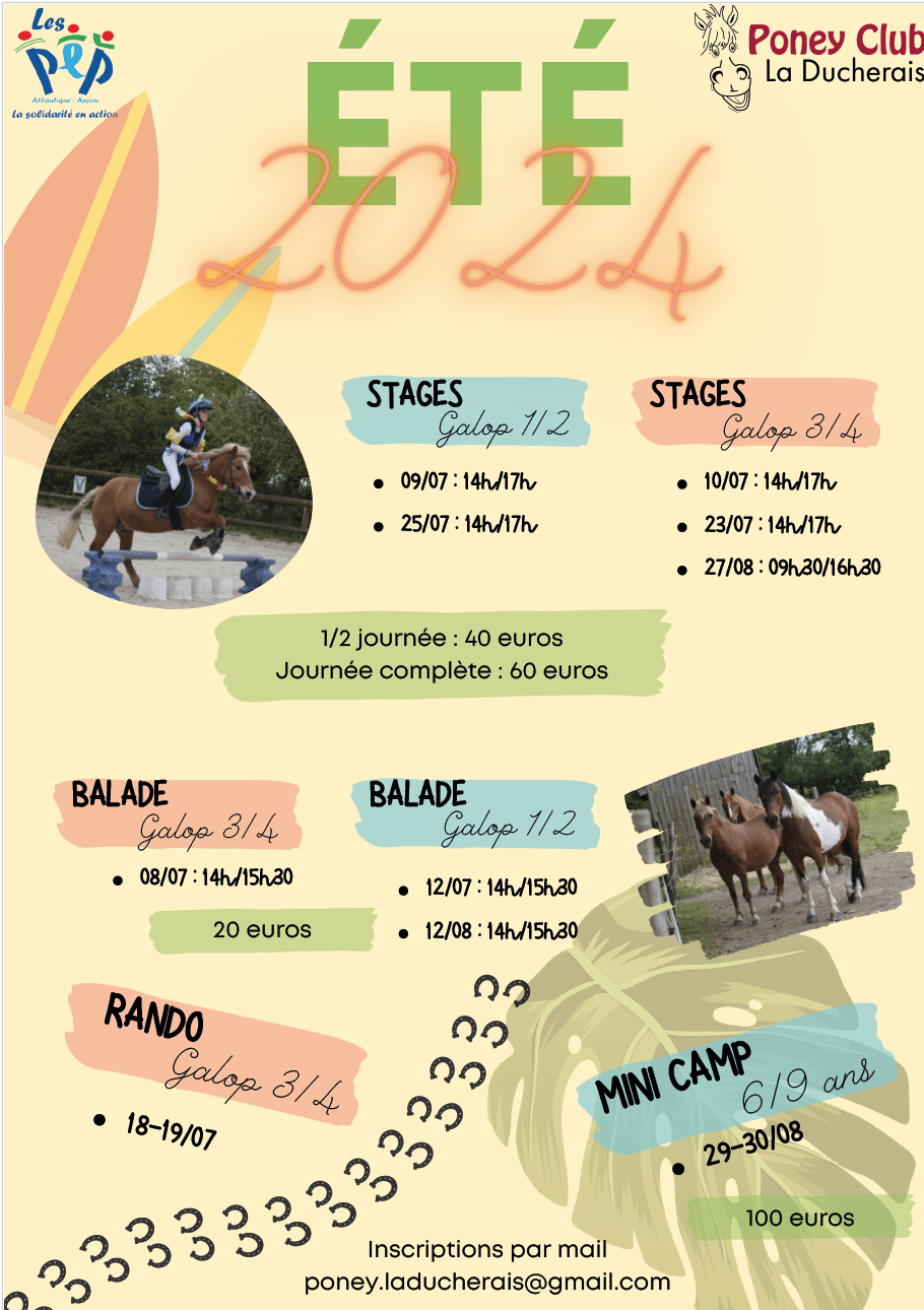 Stage Poney Club été 2024-2